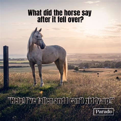 24 Hilarious Horse Racing Puns .